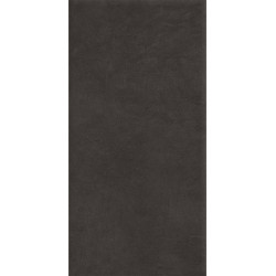 Керамогранит Ape A037671 Argillae Nocta Rect R10 60х120