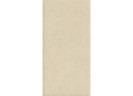 Керамогранит Atlas Concorde Italy AQ9A Boost Natural Pro Oat 60x120