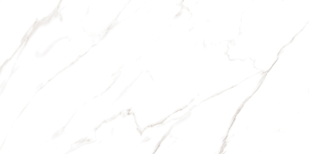 Керамогранит Buono Ceramica M4401P Carrara Livia Glossy 60x120