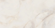 Керамогранит NT Ceramic NTT9355DS Onyx Future Digital Satin 60x120