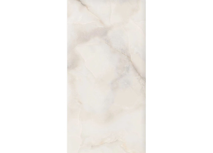 Керамогранит NT Ceramic NTT9355DS Onyx Future Digital Satin 60x120