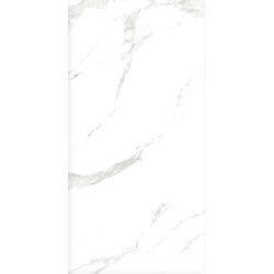 Керамогранит Royce Carra Grey Polished R_PR2000 60x120