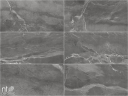 Керамогранит NT Ceramic NS612NTT9027L Slate Black 60x120