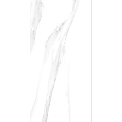 Керамогранит LCM 60120STA15P Statuario Silver 60x120