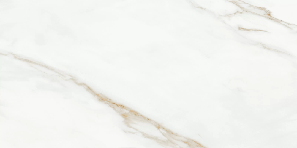 Керамогранит Duna RP-144408 Oriental White 120x60