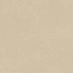 Керамогранит Atlas Concorde Italy AQ9B Boost Natural Pro Sand 60x120