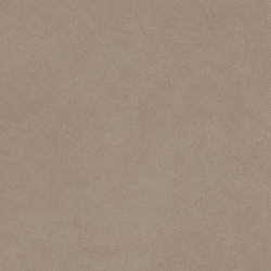 Керамогранит Atlas Concorde Italy A66E Boost Natural Ecru 60x60