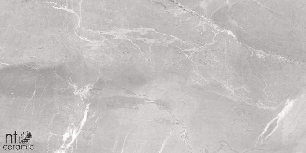 Керамогранит NT Ceramic NS612NTT9026L Slate Grey 60x120