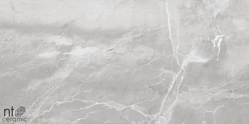 Керамогранит NT Ceramic NS612NTT9026L Slate Grey 60x120
