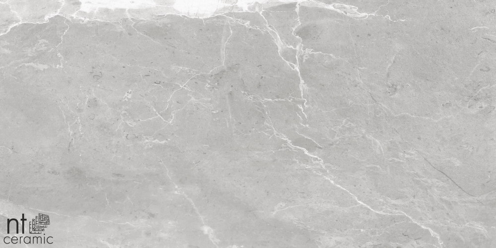 Керамогранит NT Ceramic NS612NTT9026L Slate Grey 60x120