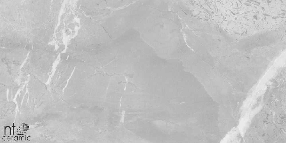 Керамогранит NT Ceramic NS612NTT9026L Slate Grey 60x120