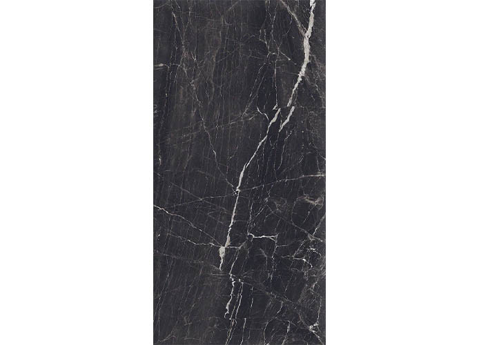 Керамогранит Duna RP-145032 Evolic Nero 120x60