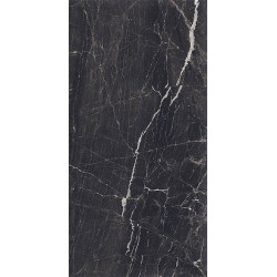 Керамогранит Duna RP-145032 Evolic Nero 120x60