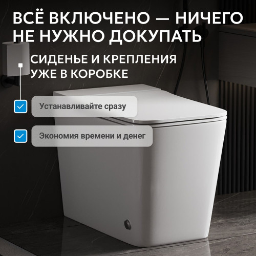 Унитаз ABBER Rechteck AC1213P приставной белый с импульсным смывом