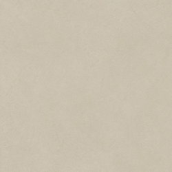 Керамогранит Atlas Concorde Italy AQ9C Boost Natural Pro Cinder 60x120