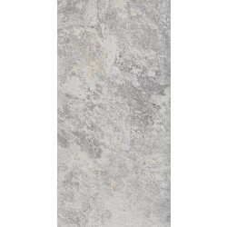 Керамогранит Eurotile Image Silver 795 IMG1GY 60х120