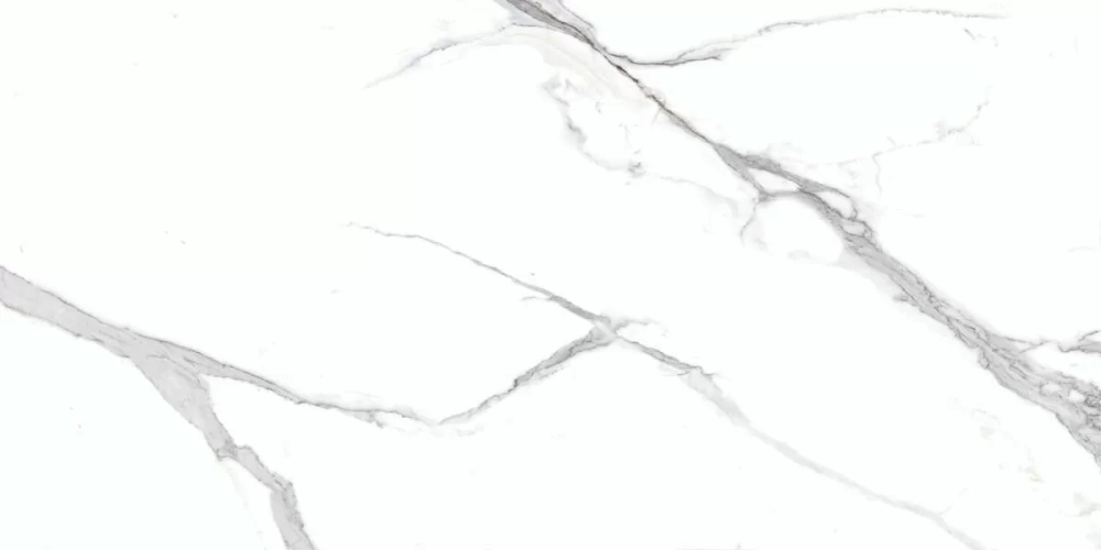 Керамогранит Ceradim х9999304479 Calacatta Splendid Silver Белый Полированный 60х120