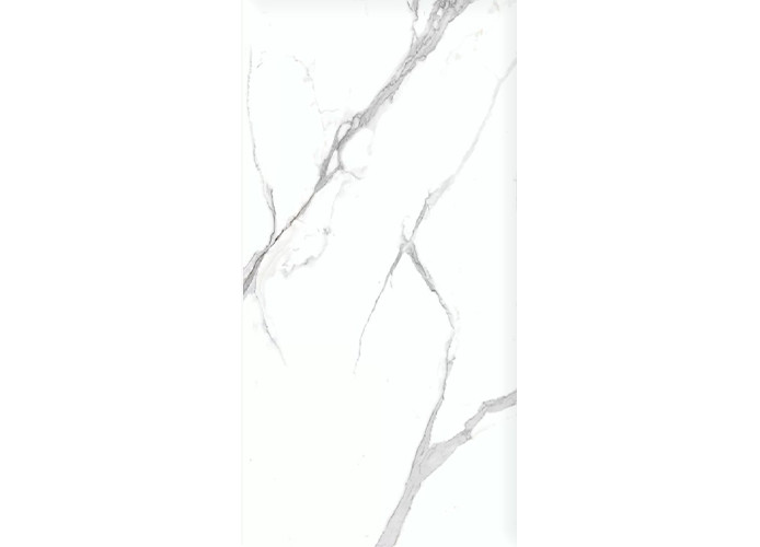 Керамогранит Ceradim х9999304479 Calacatta Splendid Silver Белый Полированный 60х120