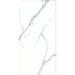 Керамогранит Ceradim х9999304479 Calacatta Splendid Silver Белый Полированный 60х120