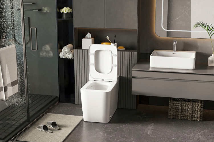 Унитаз ABBER Rechteck AC1212P приставной белый с импульсным смывом