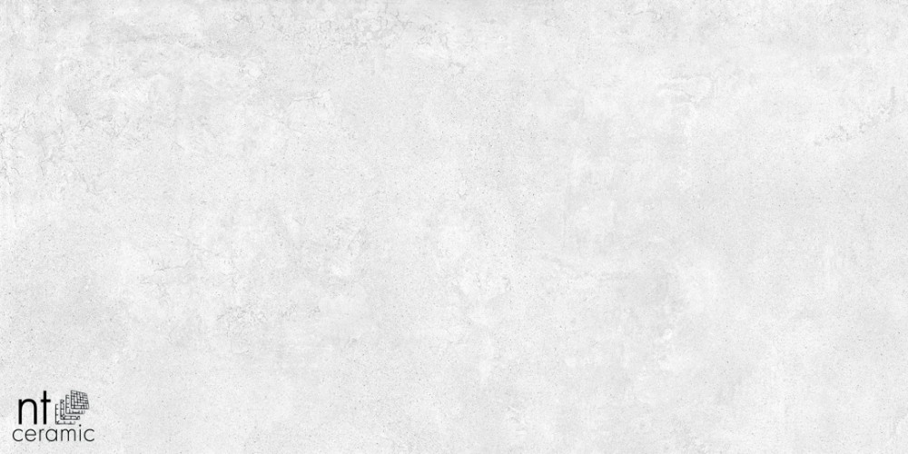 Керамогранит NT Ceramic NTT99600M Zett Bianco 60x120