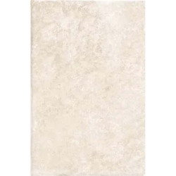 Керамогранит Settecento 117110N Terre Del Sole Avorio 40x60