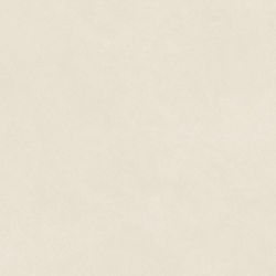 Керамогранит Atlas Concorde Italy AQ9P Boost Natural Pro Salt 60x120 Grip