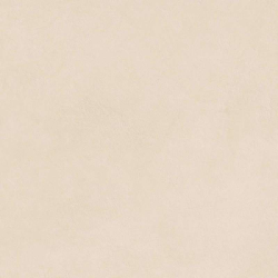 Керамогранит Atlas Concorde Italy A7RA Boost Natural Kaolin 60x60 20 mm