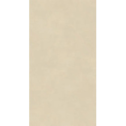 Керамогранит Atlas Concorde Italy AQ9Q Boost Natural Pro Oat 60x120 Grip