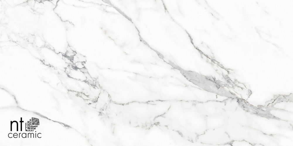 Керамогранит NT Ceramic NTT9125M Statuario Infinity 60x120