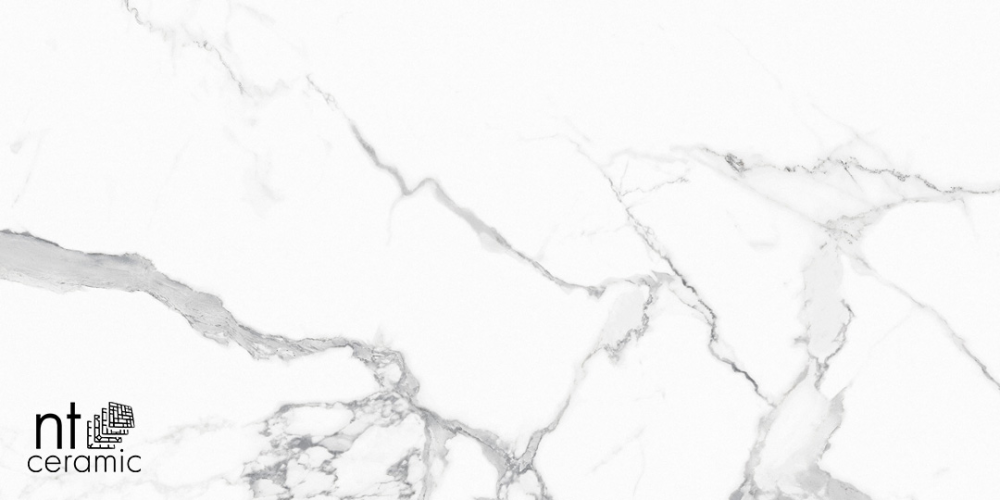 Керамогранит NT Ceramic NTT9125M Statuario Infinity 60x120