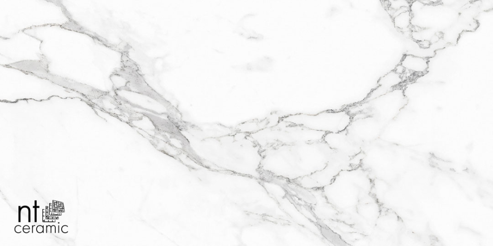 Керамогранит NT Ceramic NTT9125M Statuario Infinity 60x120