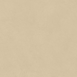 Керамогранит Atlas Concorde Italy AQ9R Boost Natural Pro Sand 60x120 Grip