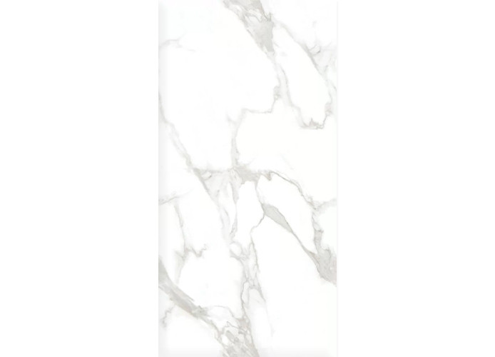 Керамогранит Ceradim х9999304508 Statuario Perfect Silver Белый Полированный 60х120