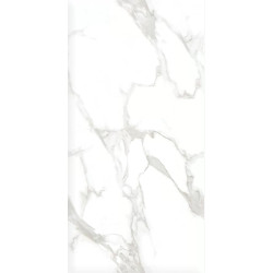 Керамогранит Ceradim х9999304508 Statuario Perfect Silver Белый Полированный 60х120