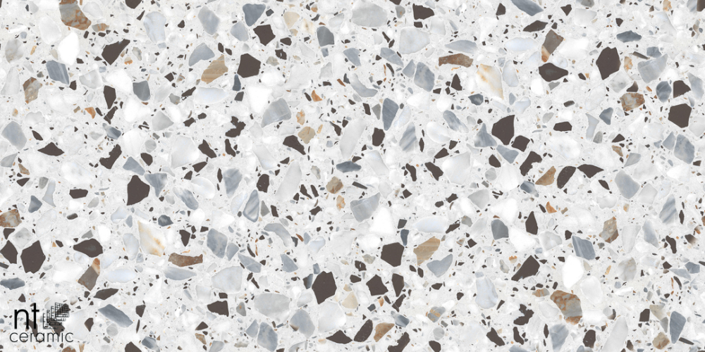 Керамогранит NT Ceramic NTT99606 Terrazzo White 60x120