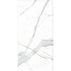 Керамогранит Primavera Dario NR201 60x120