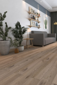 Коллекция Aciendo